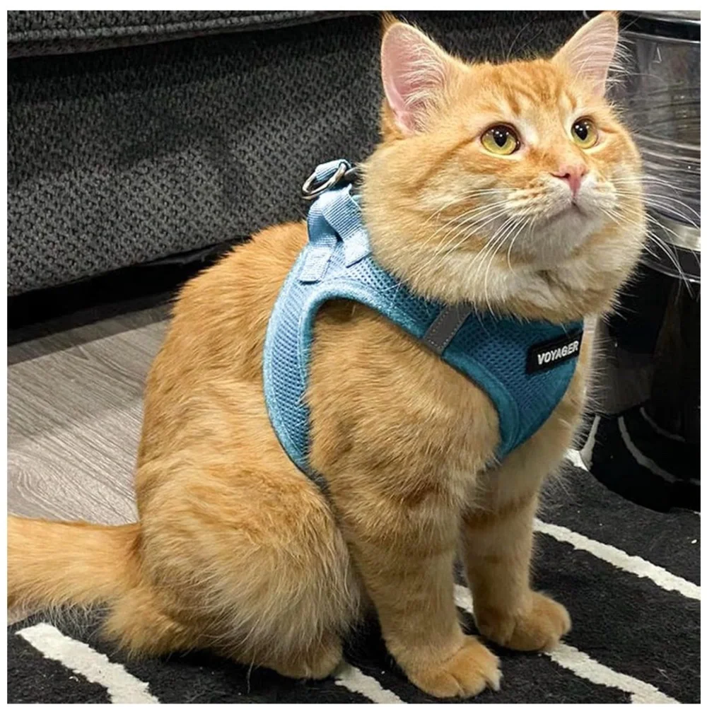 Baby Blue Breathable Mesh Step In Dog Harnesses, 2 available size M - Picture 7 of 12